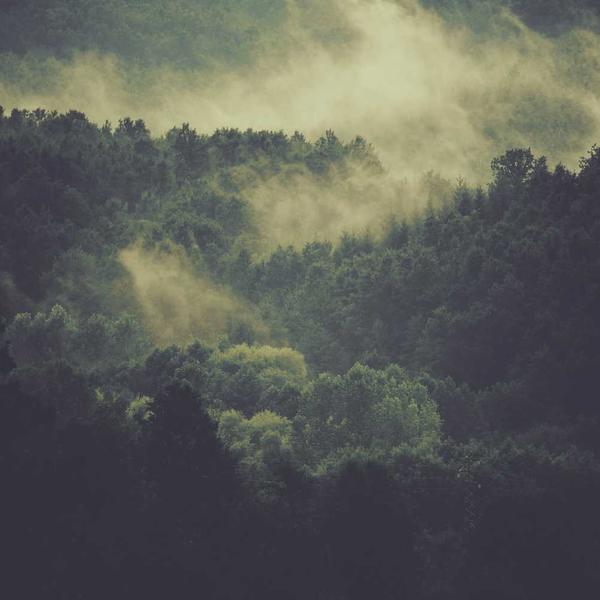 Culpa Dolor Asperiores