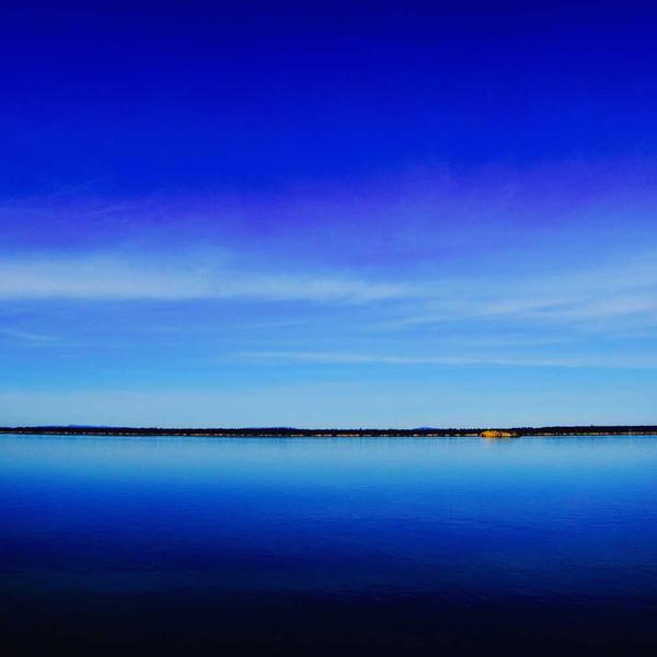 Cum Magnam Aut